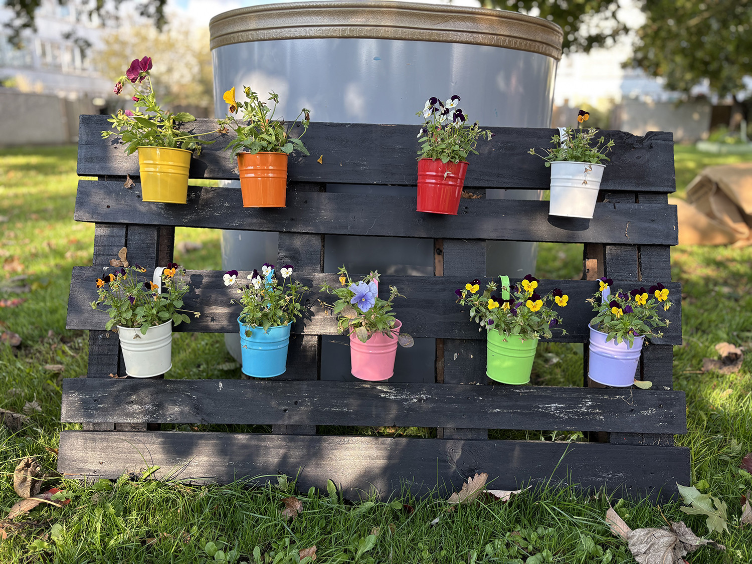 A pallet that has been painted and hung with small, colourful flowerpots.